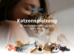 PetTec Katzenspielzeug