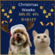 PetTec Christmas Deals