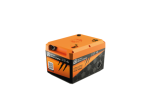 Liontron prismatische Serie 100AH clean